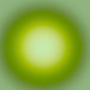 Meet your Posher, Kirra